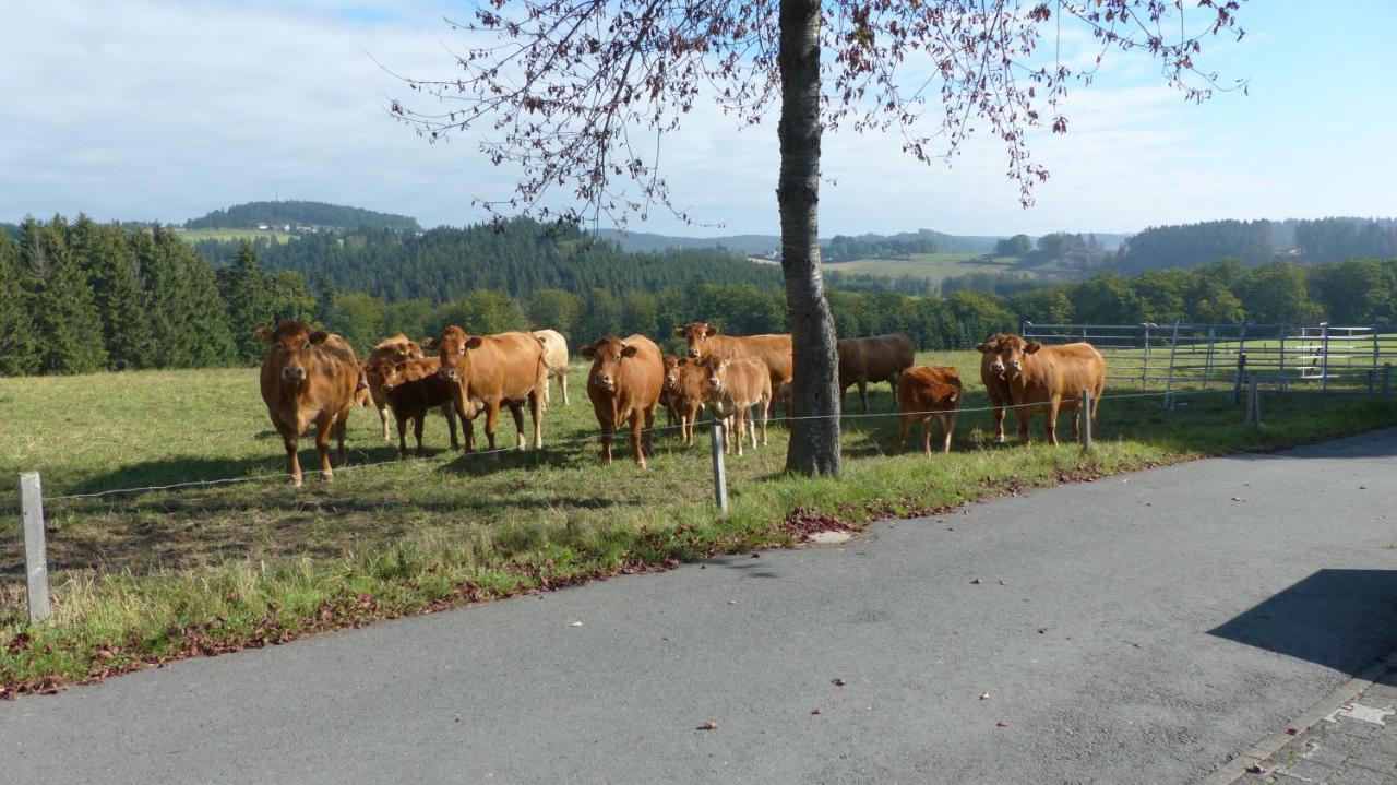 Aussichtsbauernhofpension Hof Gretchens Winterberg Kültér fotó