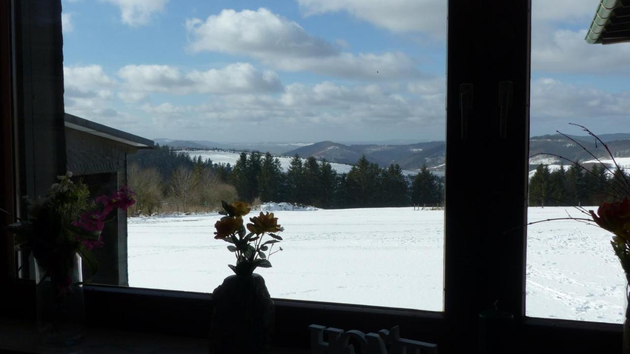 Aussichtsbauernhofpension Hof Gretchens Winterberg Kültér fotó
