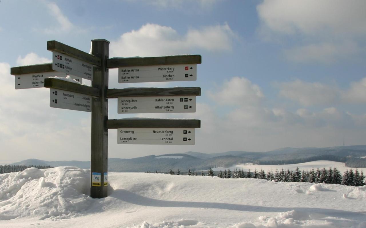 Aussichtsbauernhofpension Hof Gretchens Winterberg Kültér fotó