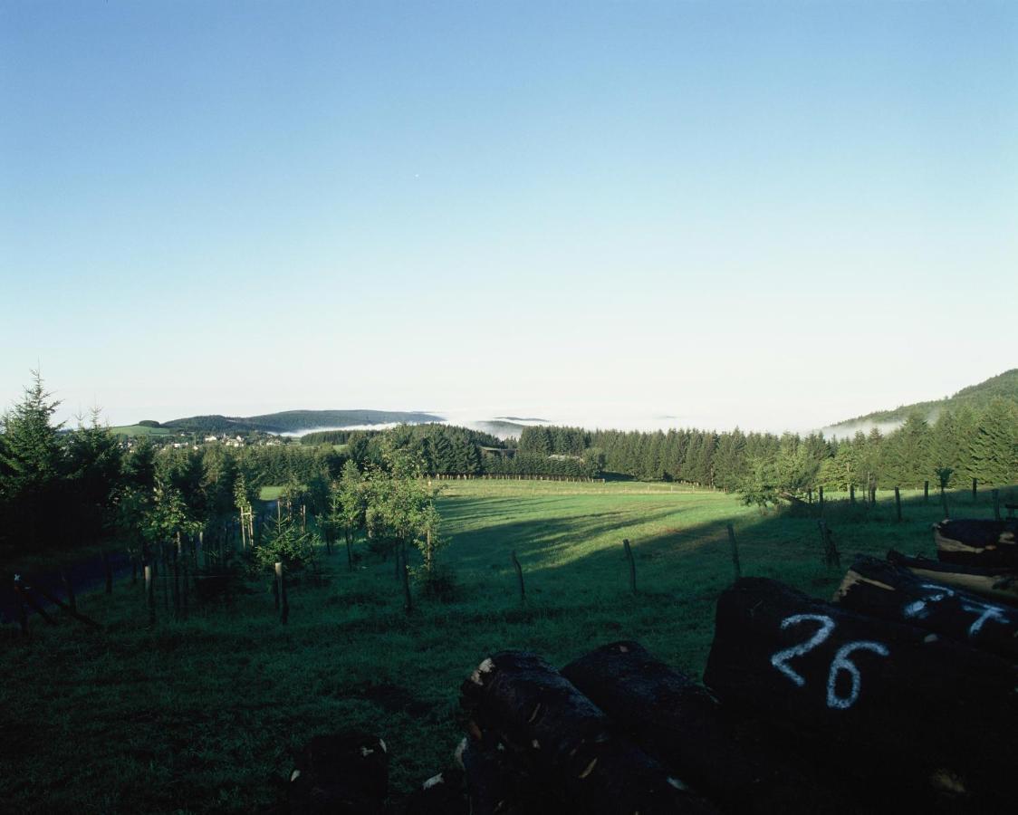 Aussichtsbauernhofpension Hof Gretchens Winterberg Kültér fotó