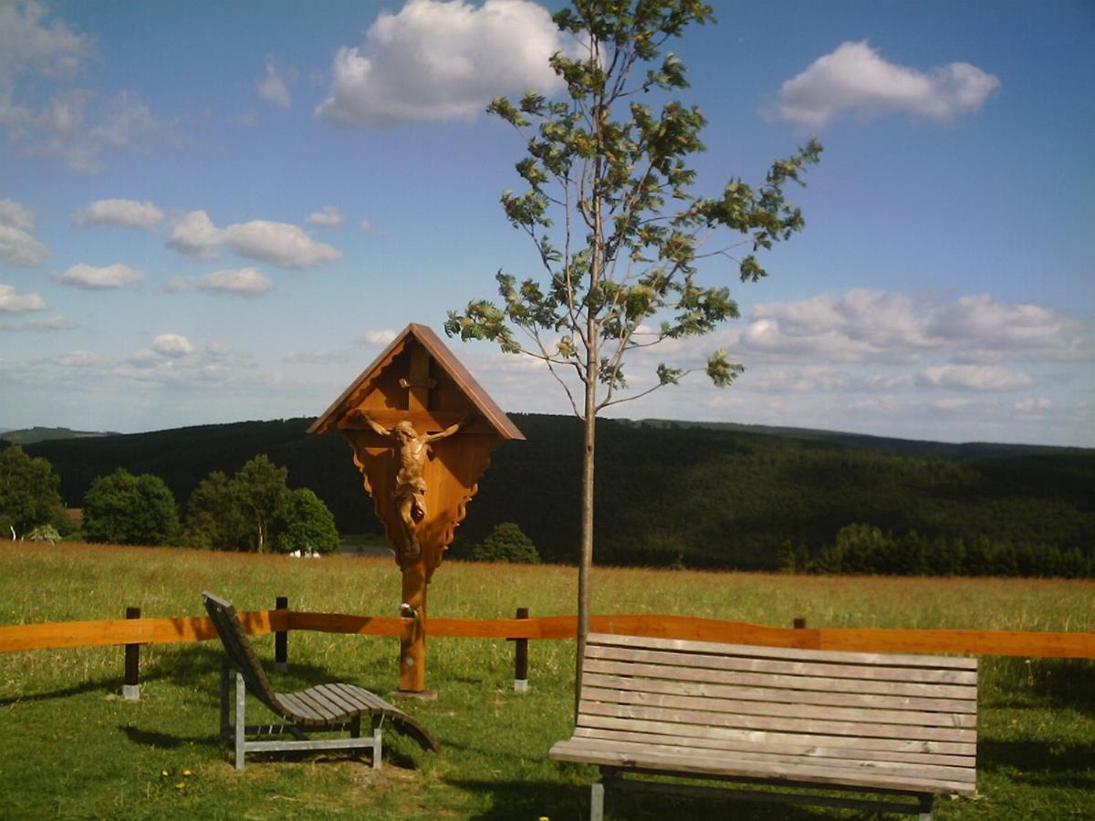Aussichtsbauernhofpension Hof Gretchens Winterberg Kültér fotó